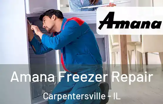 Amana Freezer Repair Carpentersville - IL