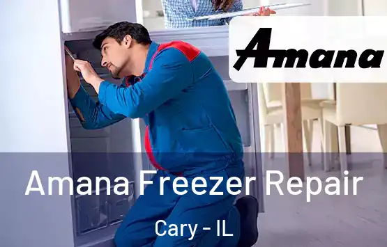  Amana Freezer Repair Cary - IL