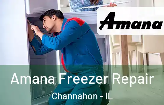  Amana Freezer Repair Channahon - IL