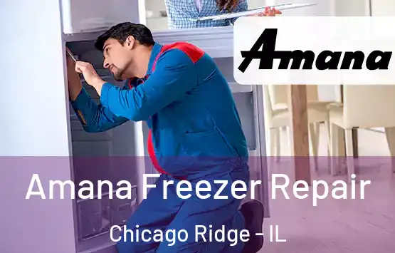  Amana Freezer Repair Chicago Ridge - IL