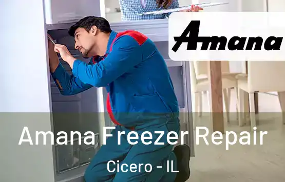  Amana Freezer Repair Cicero - IL