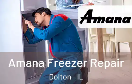  Amana Freezer Repair Dolton - IL
