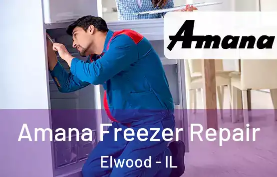  Amana Freezer Repair Elwood - IL