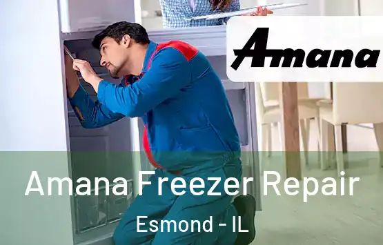  Amana Freezer Repair Esmond - IL