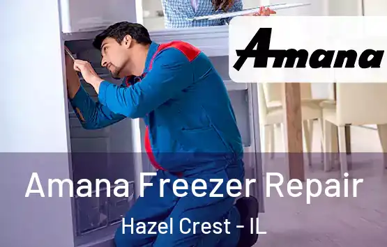  Amana Freezer Repair Hazel Crest - IL