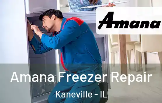  Amana Freezer Repair Kaneville - IL