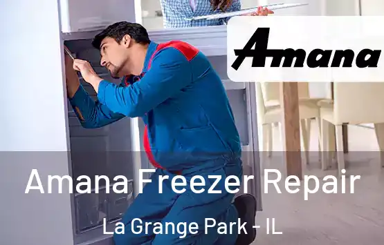  Amana Freezer Repair La Grange Park - IL