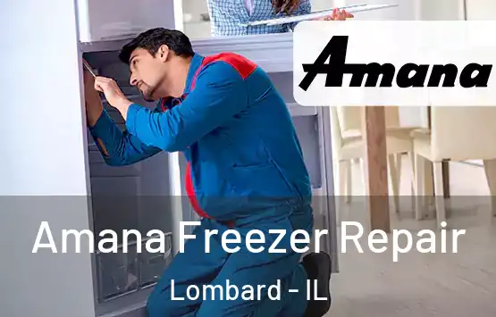  Amana Freezer Repair Lombard - IL