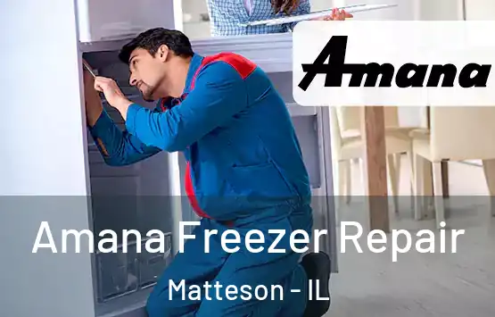  Amana Freezer Repair Matteson - IL