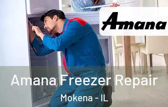  Amana Freezer Repair Mokena - IL