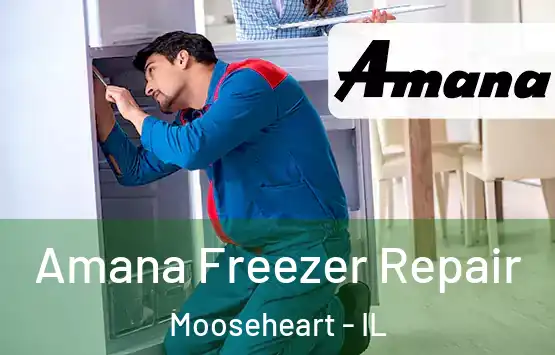  Amana Freezer Repair Mooseheart - IL
