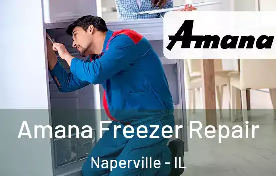  Amana Freezer Repair Naperville - IL