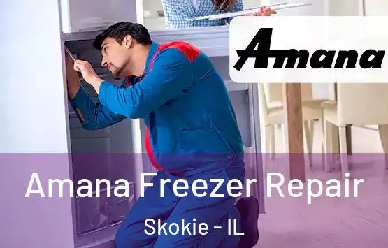  Amana Freezer Repair Skokie - IL