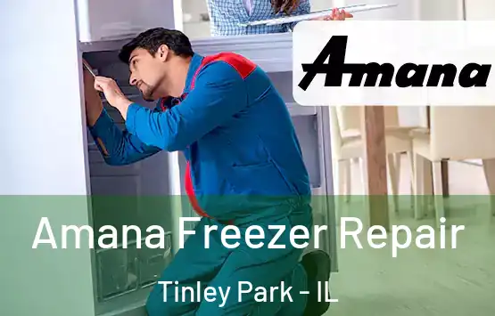  Amana Freezer Repair Tinley Park - IL