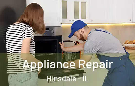  Appliance Repair Hinsdale - IL