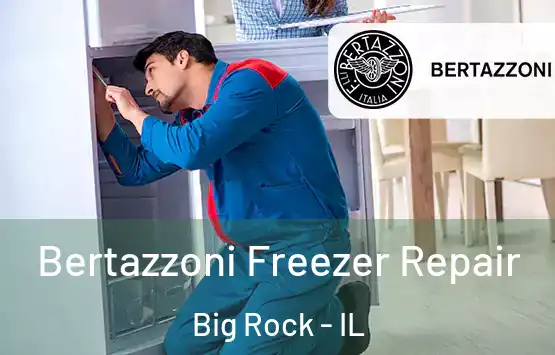  Bertazzoni Freezer Repair Big Rock - IL