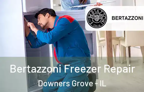  Bertazzoni Freezer Repair Downers Grove - IL