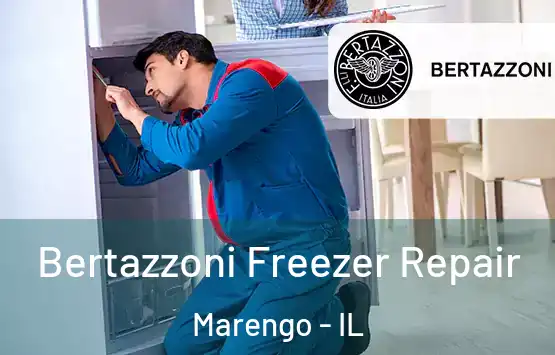  Bertazzoni Freezer Repair Marengo - IL
