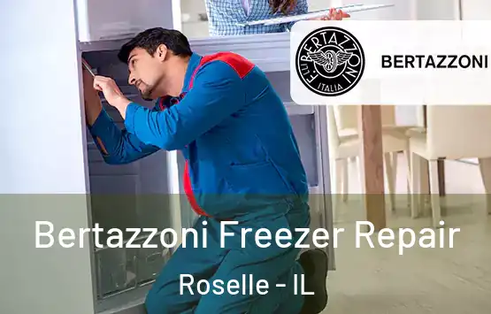  Bertazzoni Freezer Repair Roselle - IL