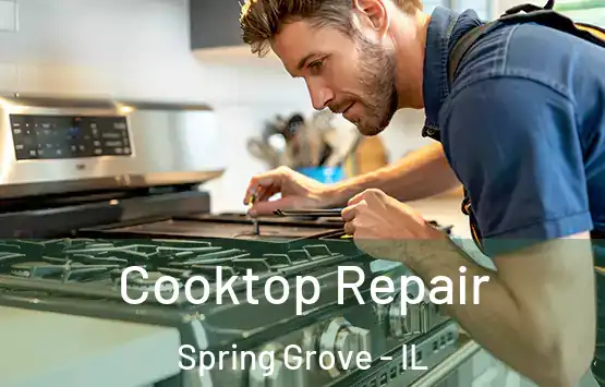  Cooktop Repair Spring Grove - IL
