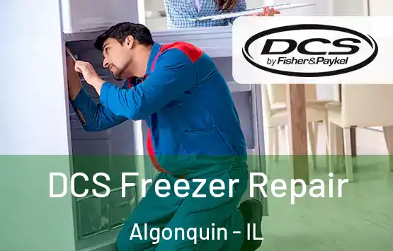  DCS Freezer Repair Algonquin - IL