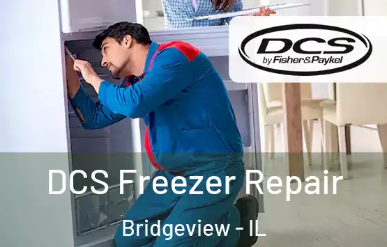  DCS Freezer Repair Bridgeview - IL