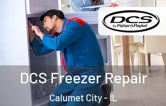  DCS Freezer Repair Calumet City - IL