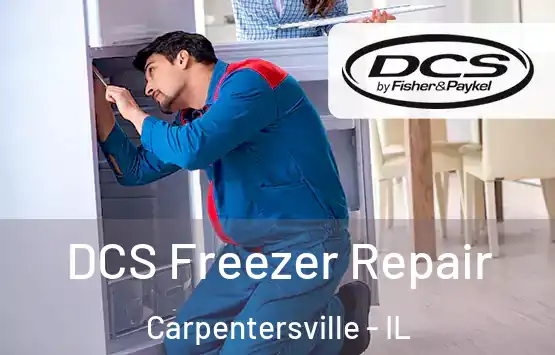  DCS Freezer Repair Carpentersville - IL