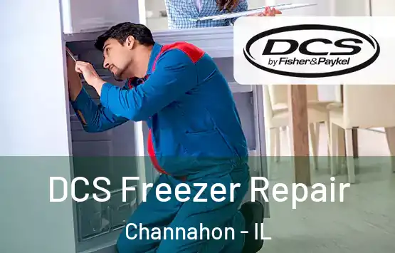  DCS Freezer Repair Channahon - IL