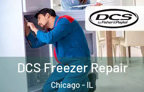  DCS Freezer Repair Chicago - IL