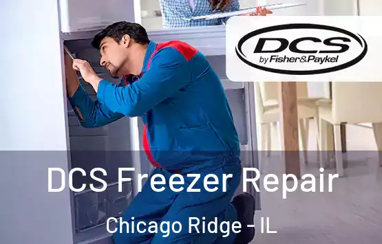  DCS Freezer Repair Chicago Ridge - IL