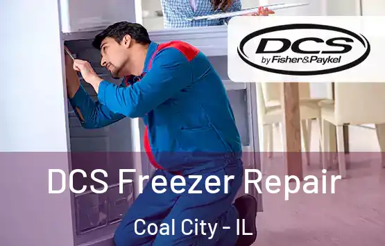 DCS Freezer Repair Coal City - IL
