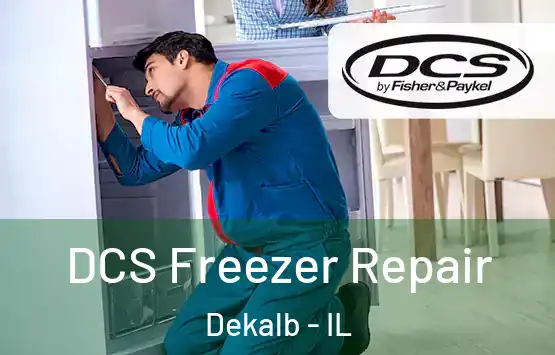  DCS Freezer Repair Dekalb - IL