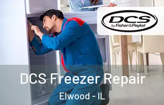  DCS Freezer Repair Elwood - IL