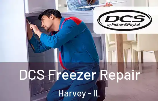  DCS Freezer Repair Harvey - IL