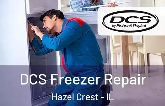 DCS Freezer Repair Hazel Crest - IL
