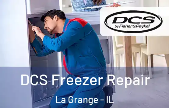  DCS Freezer Repair La Grange - IL