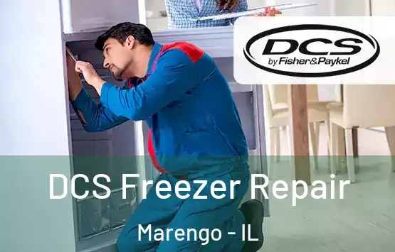  DCS Freezer Repair Marengo - IL