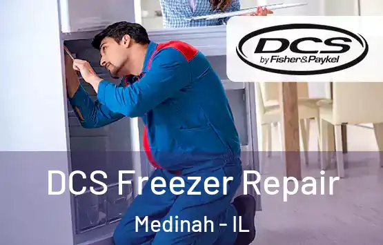  DCS Freezer Repair Medinah - IL