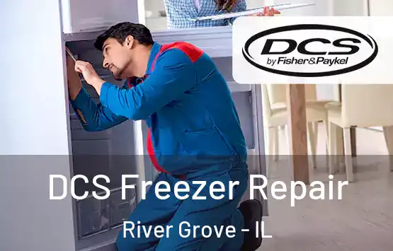  DCS Freezer Repair River Grove - IL
