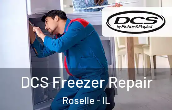  DCS Freezer Repair Roselle - IL