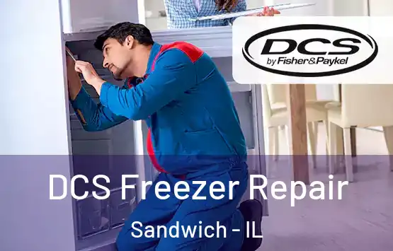  DCS Freezer Repair Sandwich - IL