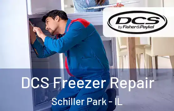  DCS Freezer Repair Schiller Park - IL