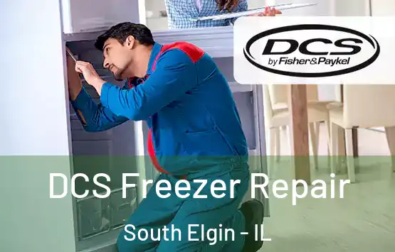  DCS Freezer Repair South Elgin - IL