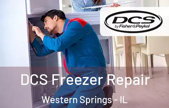  DCS Freezer Repair Western Springs - IL
