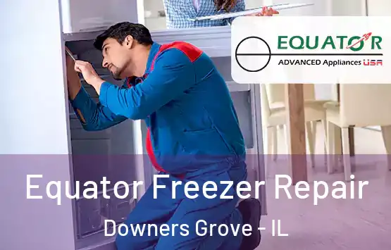  Equator Freezer Repair Downers Grove - IL