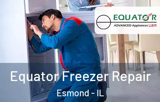 Equator Freezer Repair Esmond - IL