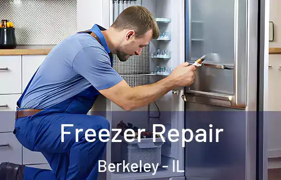  Freezer Repair Berkeley - IL
