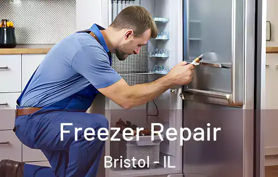  Freezer Repair Bristol - IL