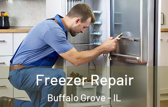  Freezer Repair Buffalo Grove - IL